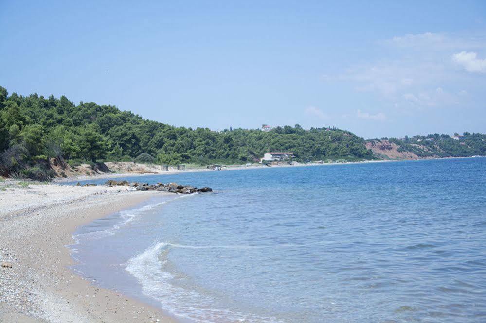 Paressa Villas Néa Fókaia Εξωτερικό φωτογραφία